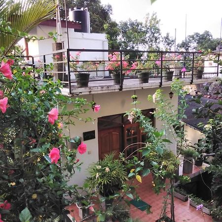 Araliya Home Stay แคนดี้ ภายนอก รูปภาพ