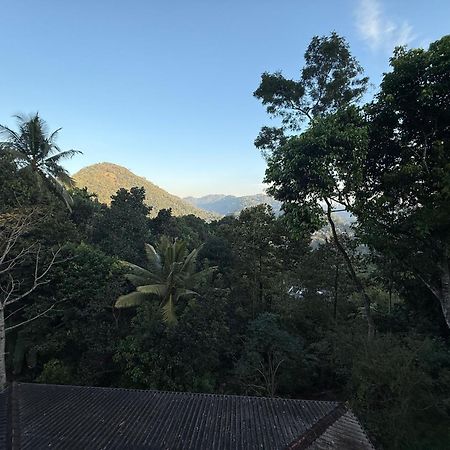 Araliya Home Stay แคนดี้ ภายนอก รูปภาพ