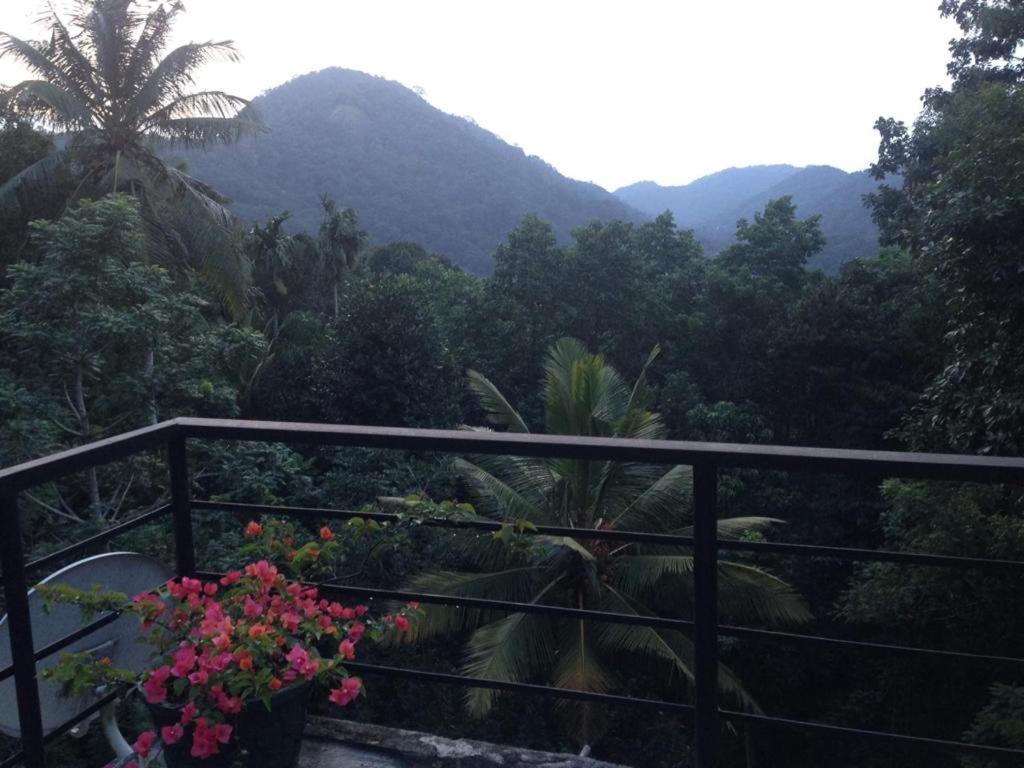 Araliya Home Stay แคนดี้ ภายนอก รูปภาพ