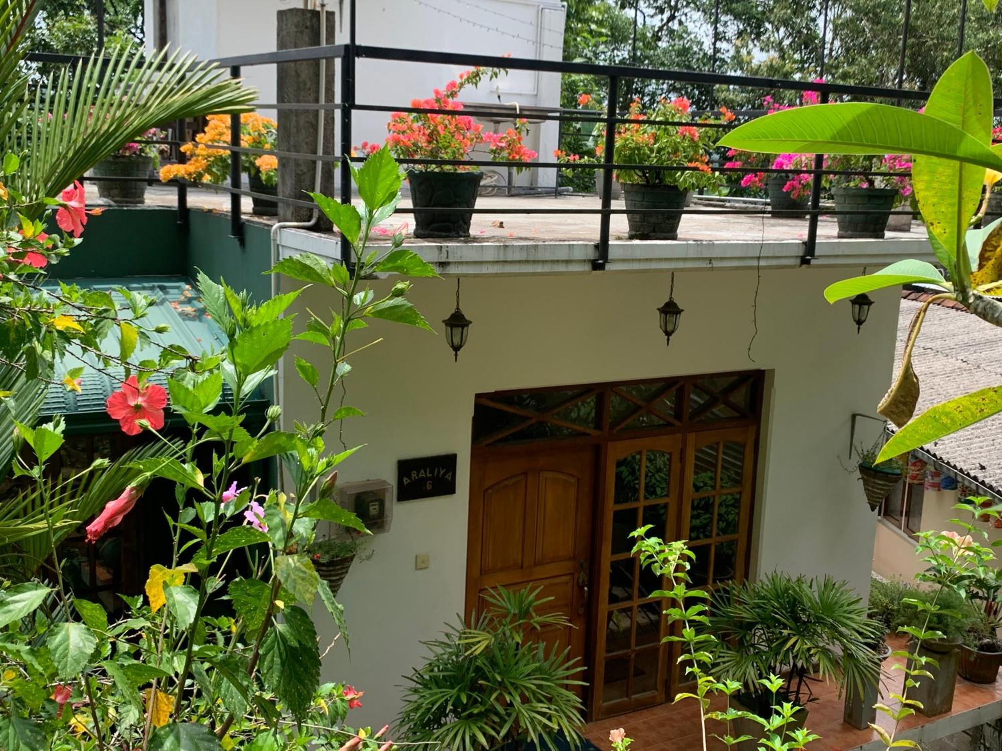 Araliya Home Stay แคนดี้ ภายนอก รูปภาพ