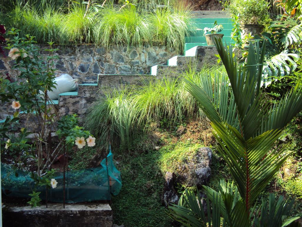Araliya Home Stay แคนดี้ ภายนอก รูปภาพ
