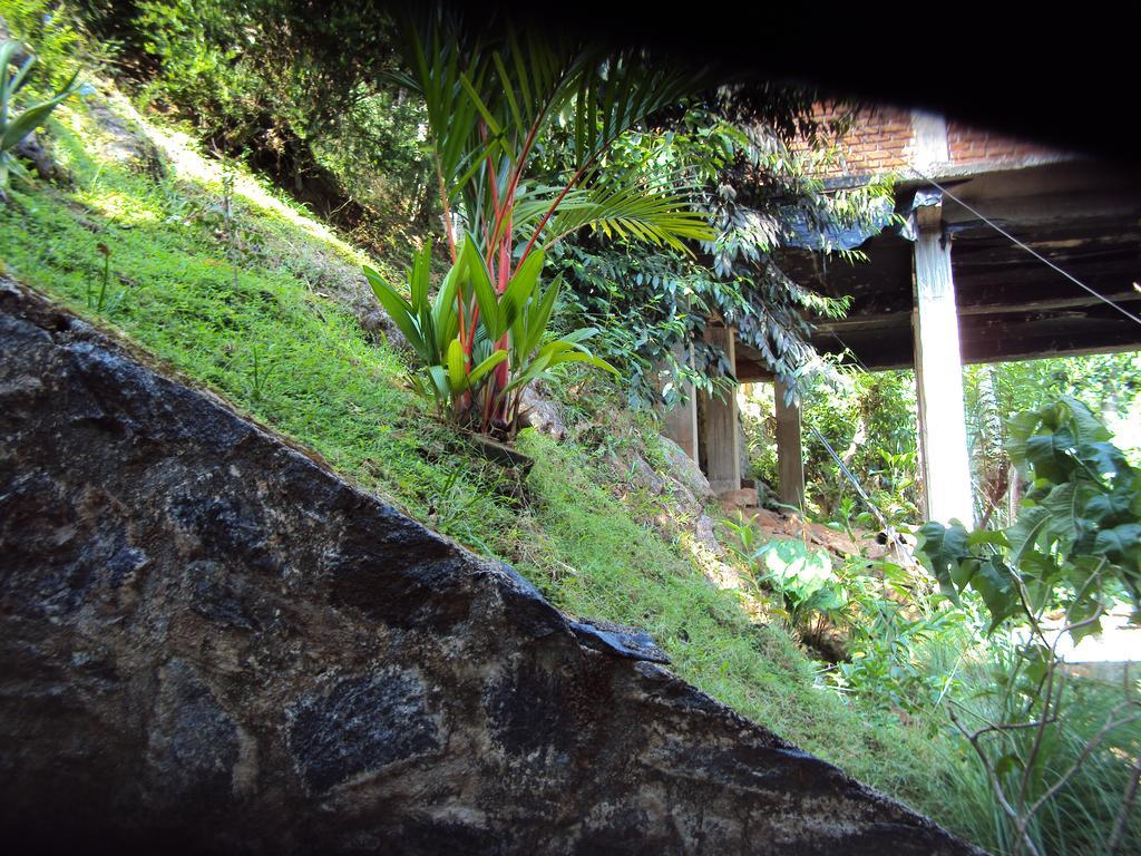 Araliya Home Stay แคนดี้ ภายนอก รูปภาพ