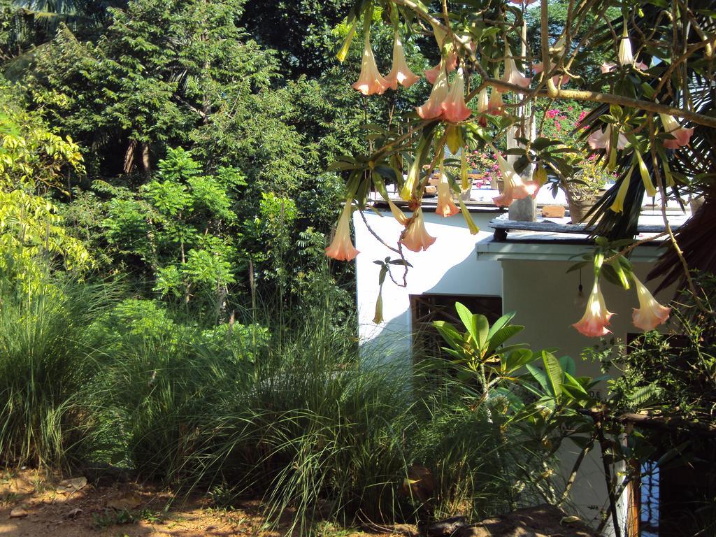 Araliya Home Stay แคนดี้ ภายนอก รูปภาพ