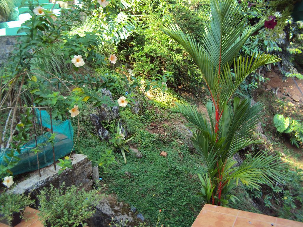 Araliya Home Stay แคนดี้ ภายนอก รูปภาพ