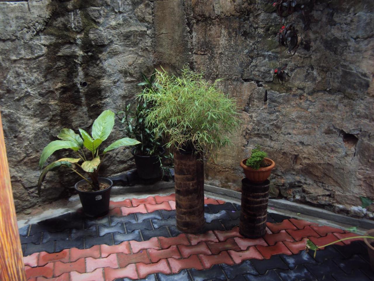 Araliya Home Stay แคนดี้ ภายนอก รูปภาพ