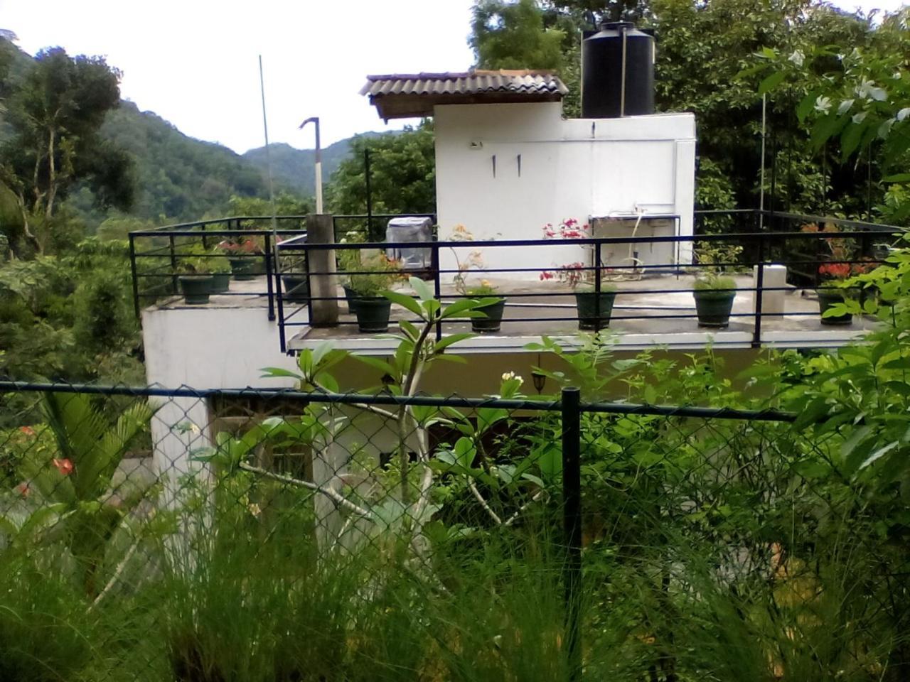 Araliya Home Stay แคนดี้ ภายนอก รูปภาพ